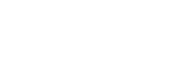 Emami logo