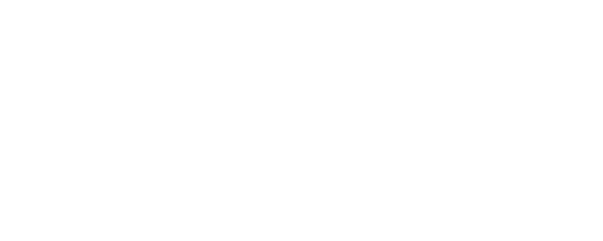 Max Group logo