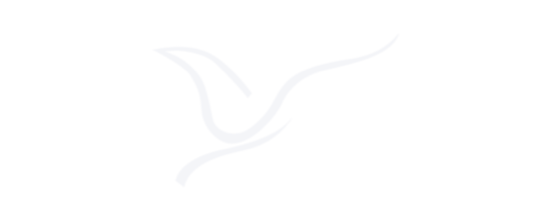 Yatih Air logo